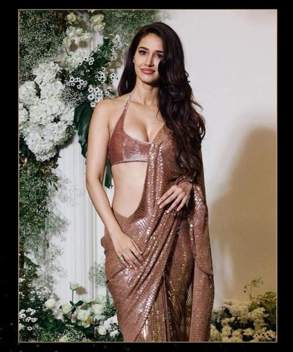 GS31 (2) Heavy Georgette Sequins Embroidery Work Saree GS31