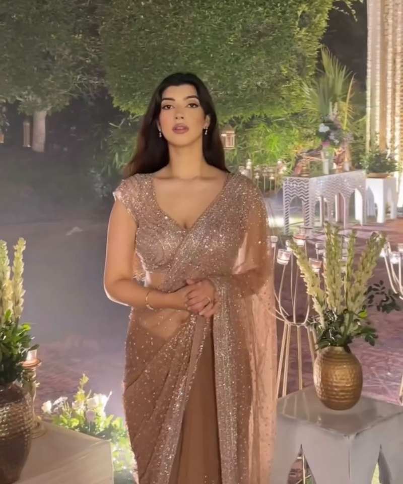 Frendy Chiffon Multi-Sequence Embroidery Work Saree FC01