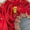 Jimmi Choo Silk Saree with Sequence Work