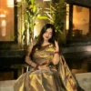 Lama Silk Saree With Contrast Border