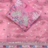 Soft Organza Silk Embroidery and Sequence Work Saree