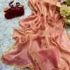 Bollywood Trending Satin Chiffon Saree | Rich Elegant Lace Border