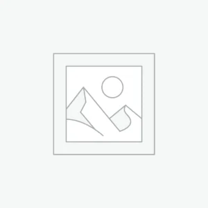 Jimmy Choo Mono Bangalore Saree with Thread & Stone work JB83B